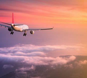 Testimonials for People Travelling MMV