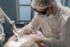 Surgery Abroad