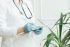 Medical Tourism