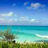 Medical Tourism Company